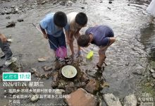 2024年7月24日思顺乡思顺村开展“清凉一夏 快乐暑期”主题活动-江西省家庭教育学会