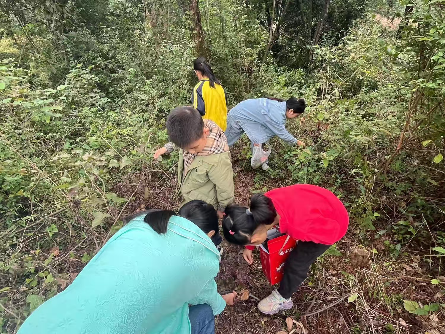 泰和县螺溪镇西岗村阳光驿站开展“秋日探秘 指尖拾趣”户外主题活动-江西省家庭教育学会