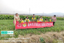 大余县池江镇新江村阳光驿站开展“感恩自然,礼赞丰收”主题活动-江西省家庭教育学会