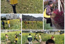 崇义县思顺乡思顺村阳光驿站开展“春日寻趣 共赴暖阳”户外主题活动-江西省家庭教育学会